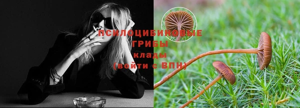 бошки Белоозёрский