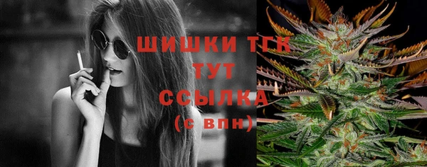 крисы Михайловск