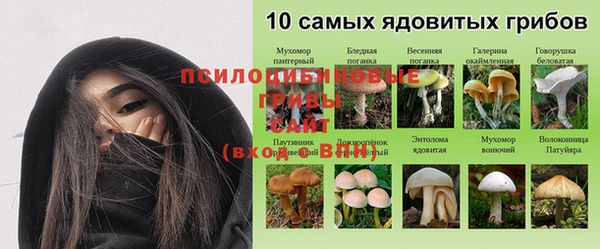 бошки Белоозёрский