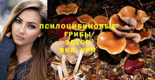 бошки Белоозёрский