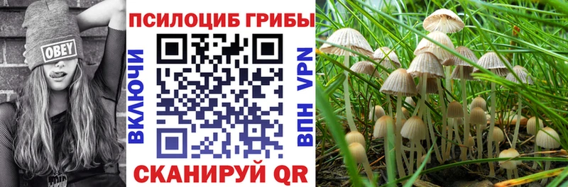 Галлюциногенные грибы GOLDEN TEACHER  Купить  Барабинск 